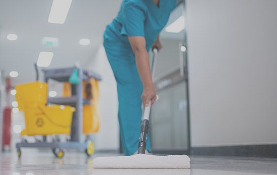 Professionele schoonmaak 